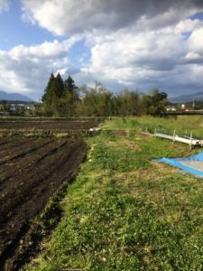 週農2日制のコロナ対応生活中！