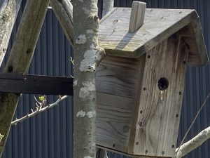 ほっこりしました＊