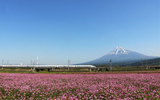 富士市