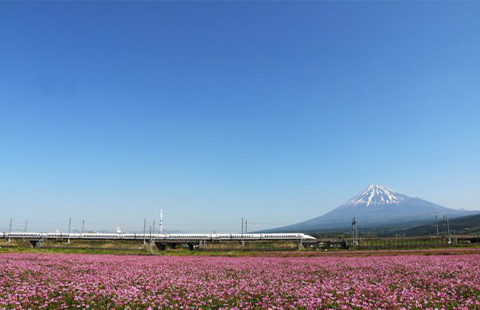 富士市風景