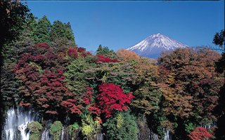 富士宮市