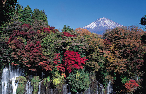 富士宮市風景