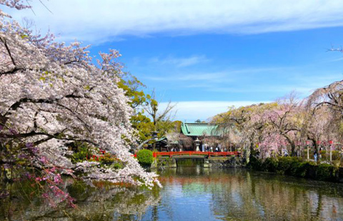 三島市風景