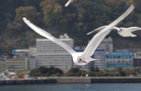 熱海市風景